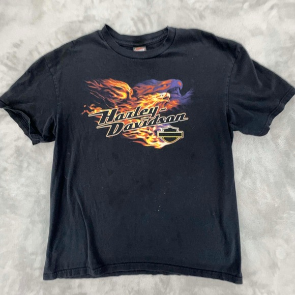 Harley-Davidson Other - Harley Davidson Mens Eagle Flames Thunderbird US 66 Albuquerque NM T Shirt XL